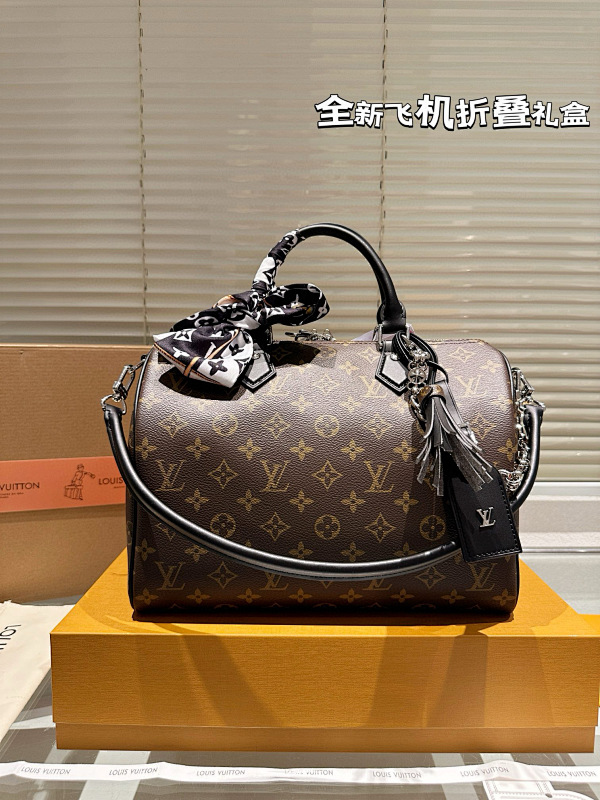 LOUIS VUITTON BAGS (343)