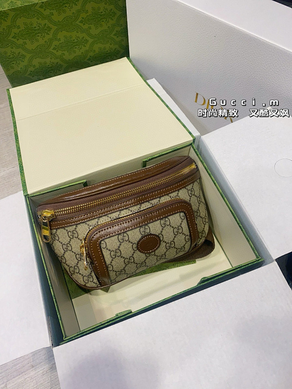 GUCCI BAGS (132)