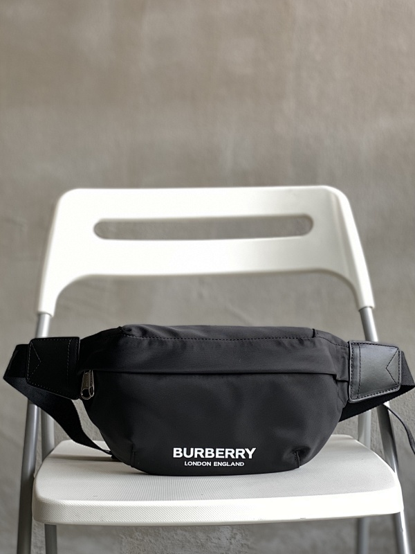 BURBERRY BAGS (111)