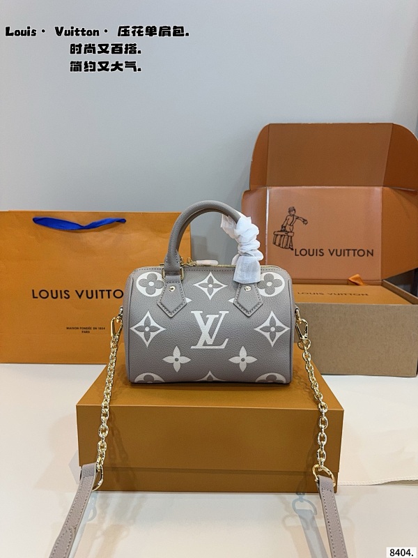 LOUIS VUITTON BAGS (108)