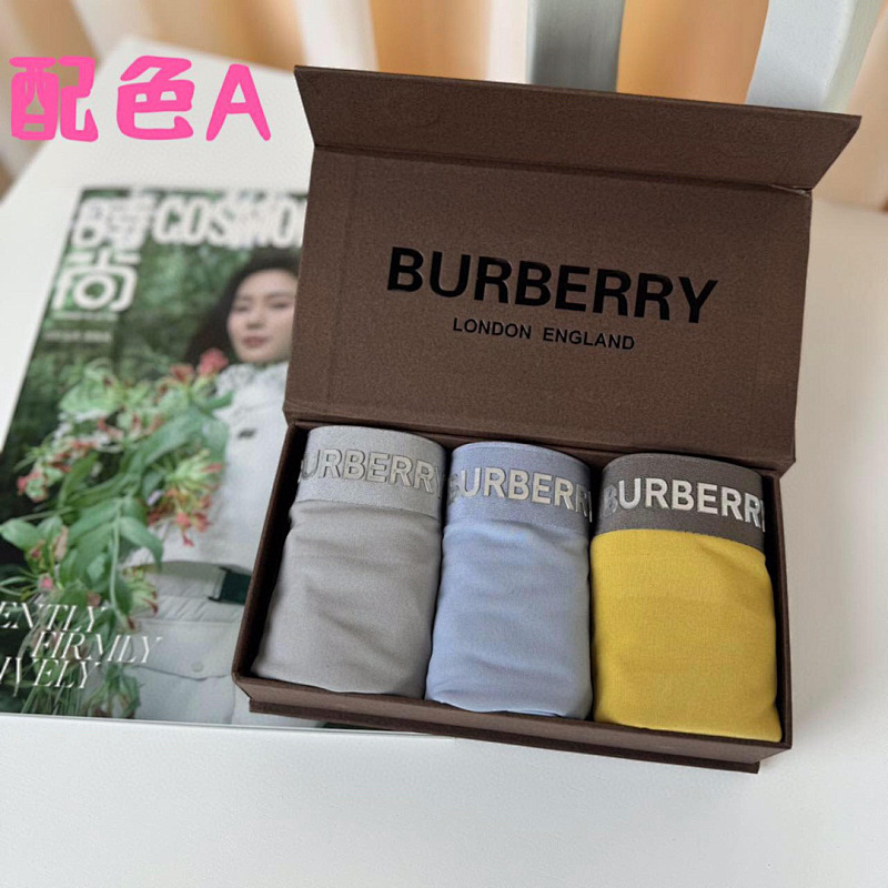 BURBERRY UNDERPANTS (3)