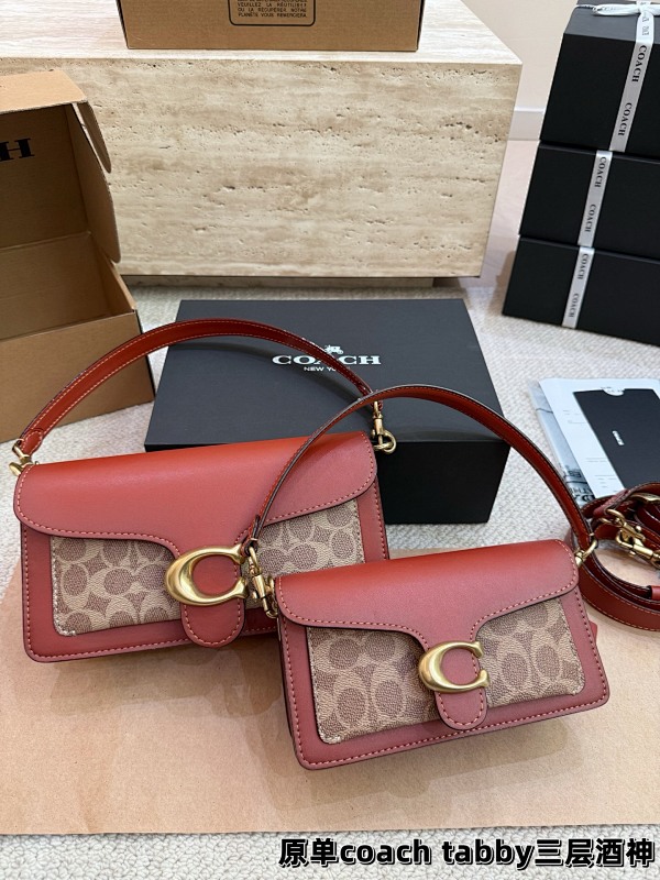 COACH BAGS (21)
