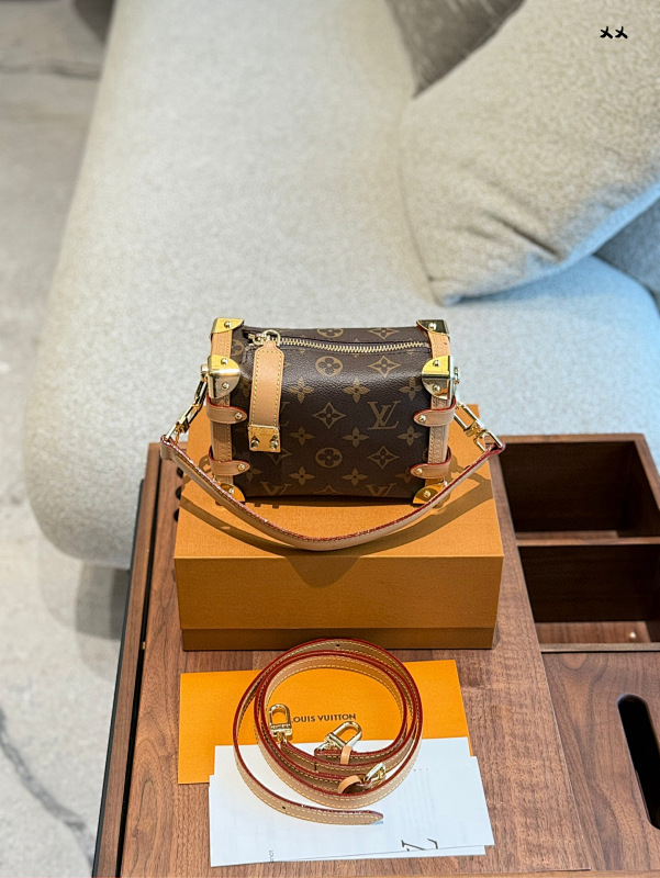 LOUIS VUITTON BAGS (331)