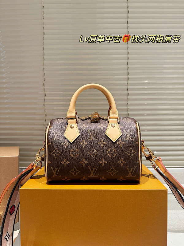 LOUIS VUITTON BAGS (338)
