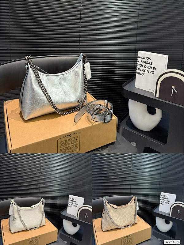 COACH BAGS (63)