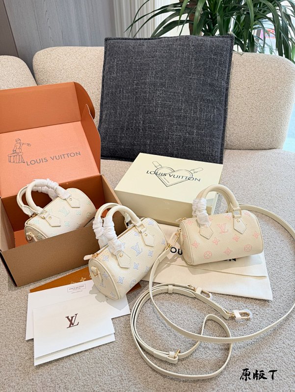 LOUIS VUITTON BAGS (56)