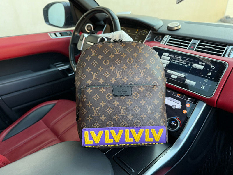 LOUIS VUITTON BAGS (457)
