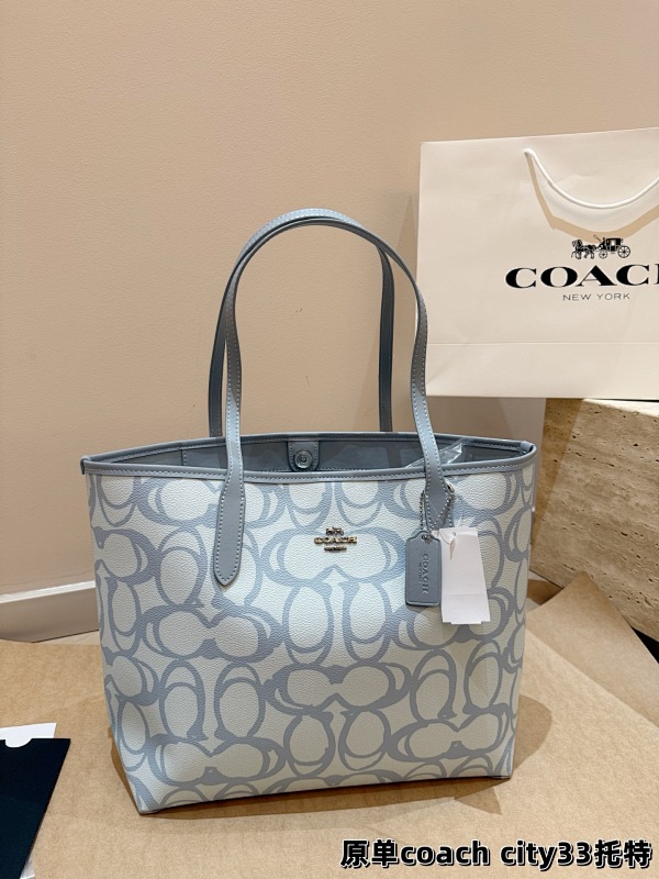 COACH BAGS (17)
