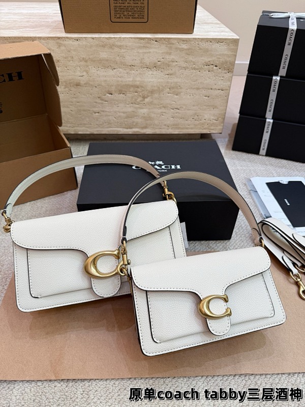 COACH BAGS (26)
