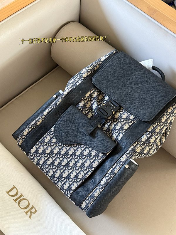 DIOR BAGS (43)