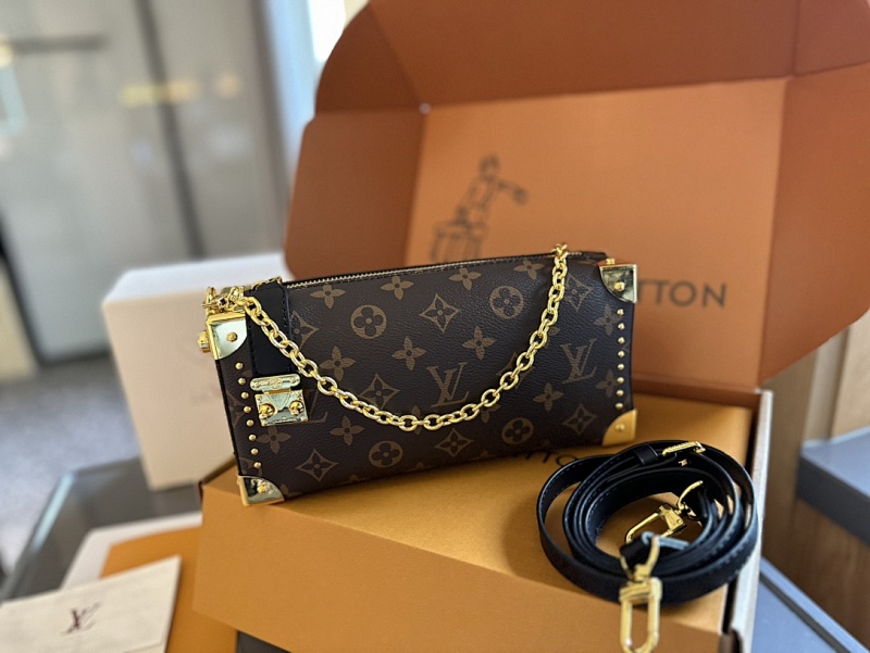 LOUIS VUITTON BAGS (14)