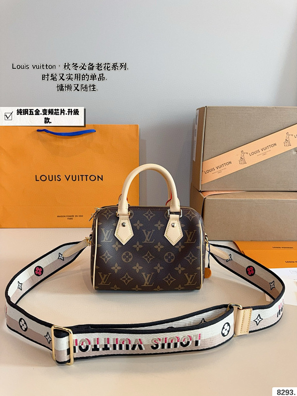 LOUIS VUITTON BAGS (385)