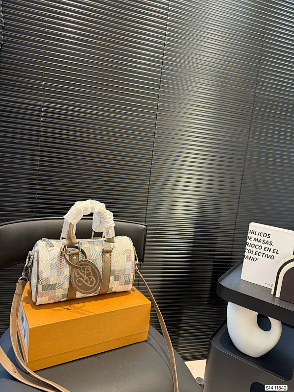 LOUIS VUITTON BAGS (500)