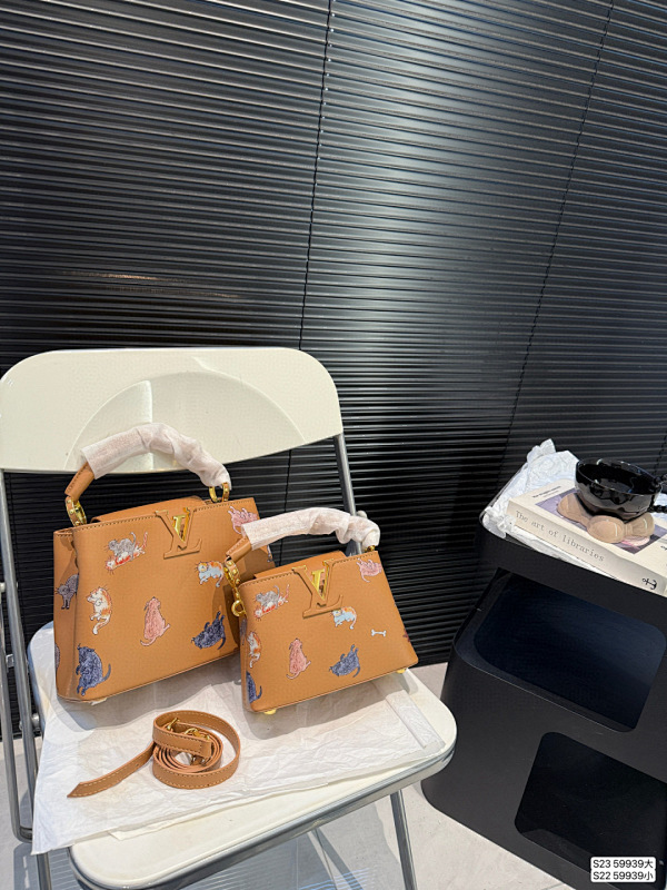 LOUIS VUITTON BAGS (507)