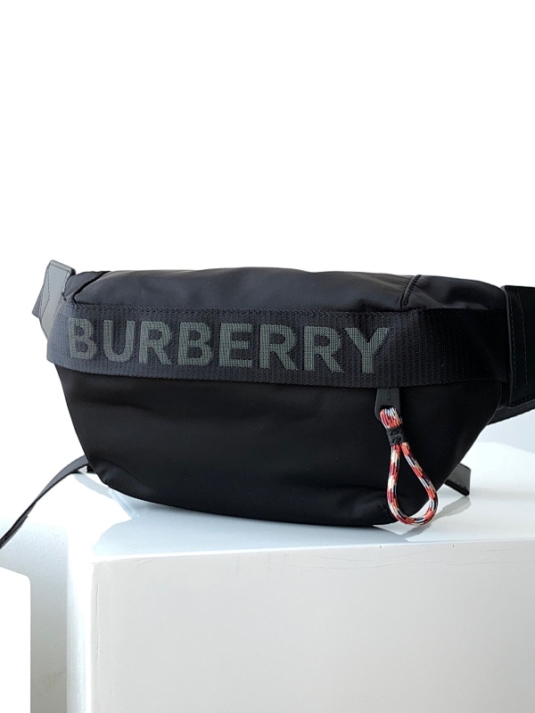 BURBERRY BAGS (109)
