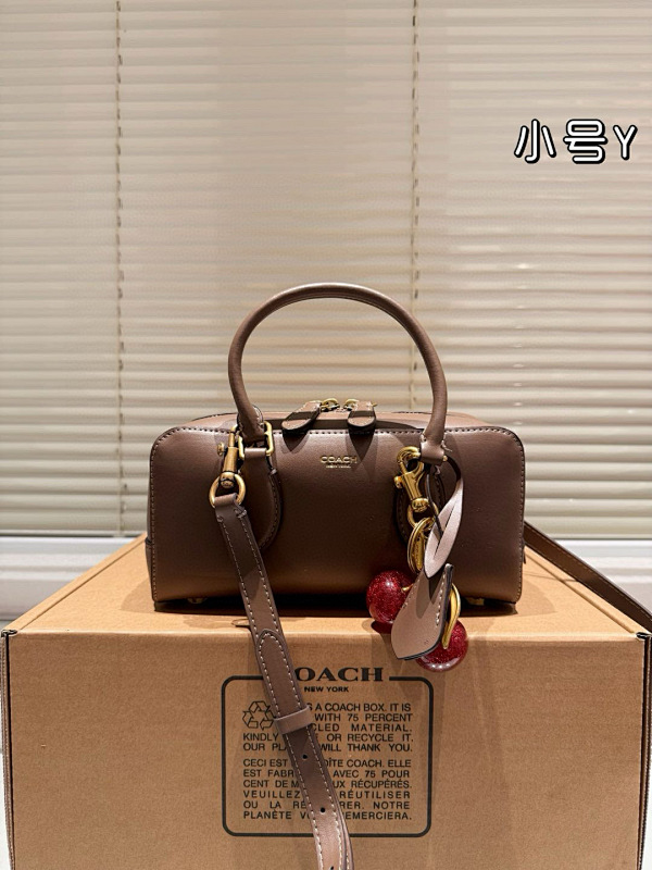 COACH BAGS (66)