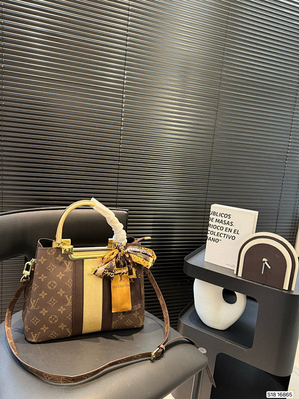 LOUIS VUITTON BAGS (356)