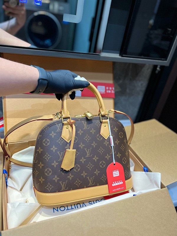LOUIS VUITTON BAGS (88)