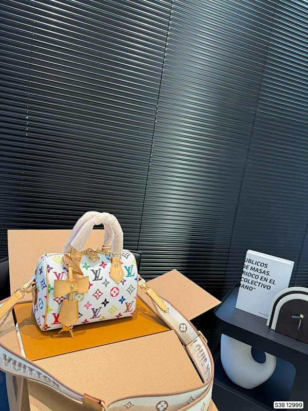 LOUIS VUITTON BAGS (498)
