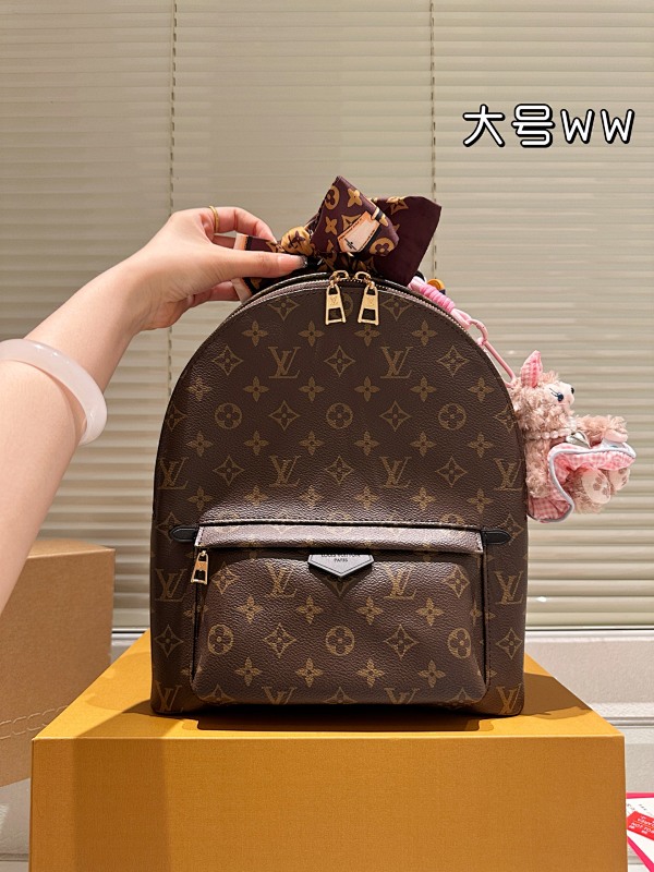 LOUIS VUITTON BAGS (249)