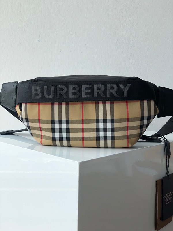 BURBERRY BAGS (107)