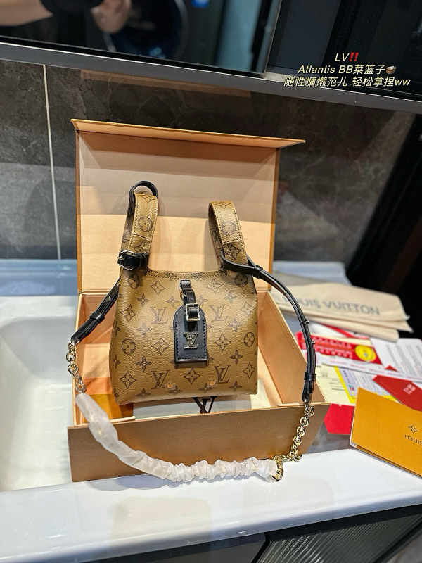 LOUIS VUITTON BAGS (476)