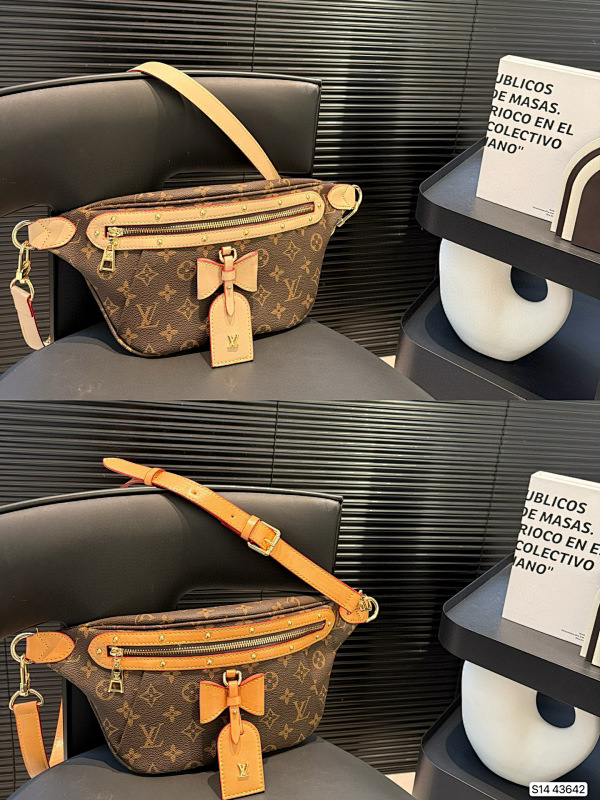 LOUIS VUITTON BAGS (372)