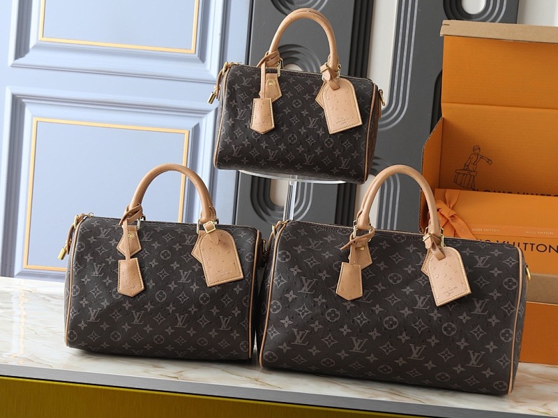 LOUIS VUITTON BAGS (132)