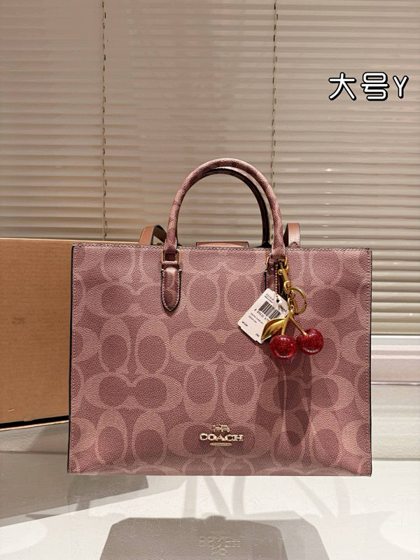 COACH BAGS (68)