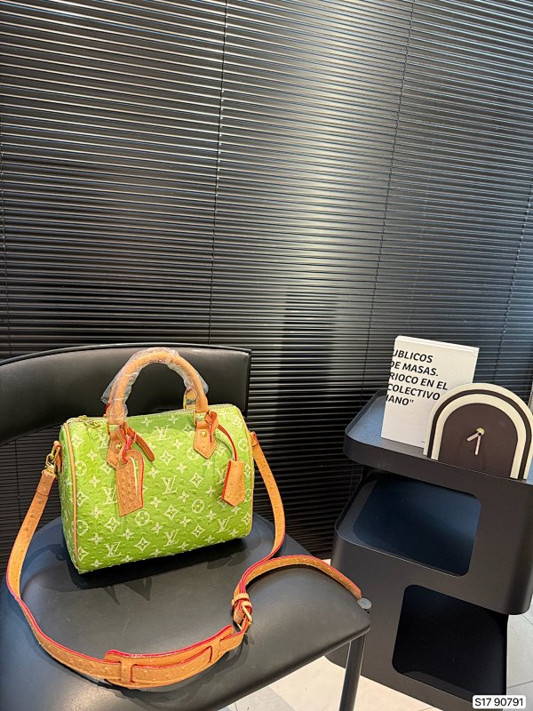 LOUIS VUITTON BAGS (241)