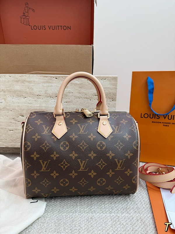 LOUIS VUITTON BAGS (45)