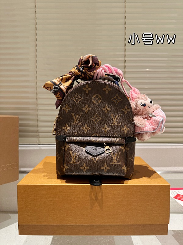 LOUIS VUITTON BAGS (248)