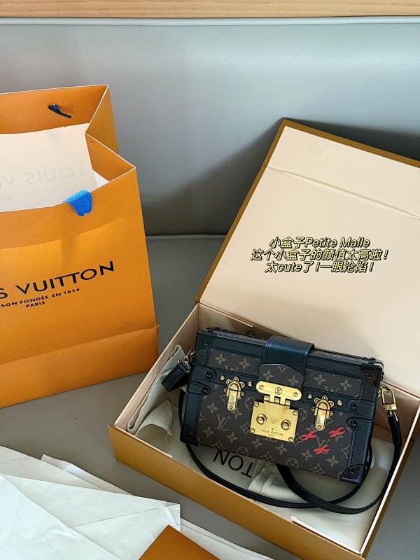 LOUIS VUITTON BAGS (197)