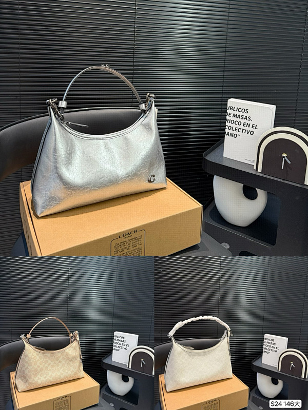 COACH BAGS (62)