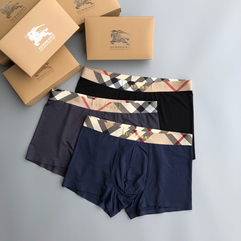 BURBERRY UNDERPANTS