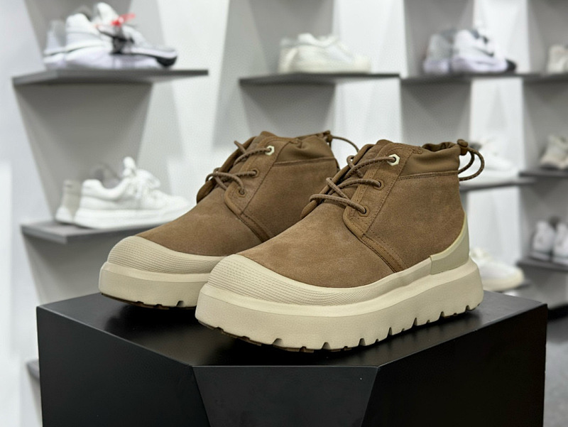 UGG Chukka Boot (4)
