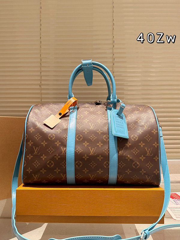 LOUIS VUITTON BAGS (273)