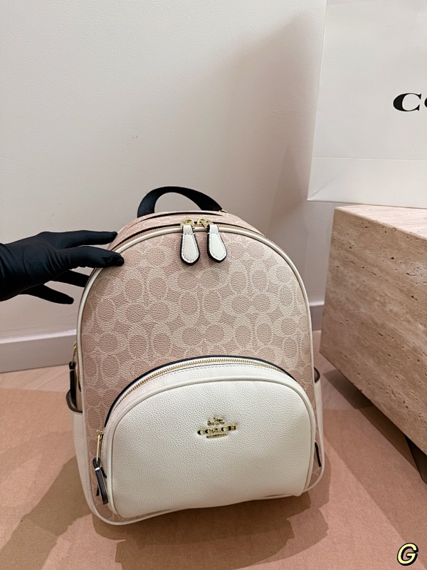 COACH BAGS (3)