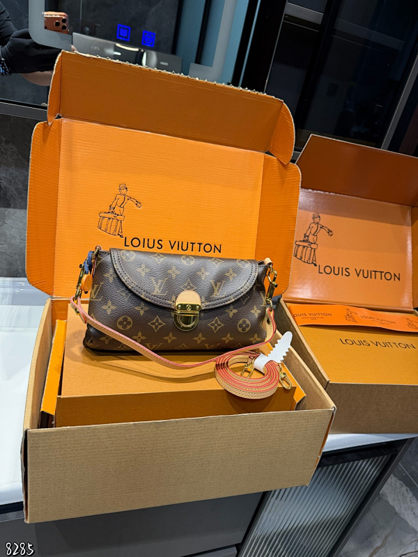 LOUIS VUITTON BAGS (91)