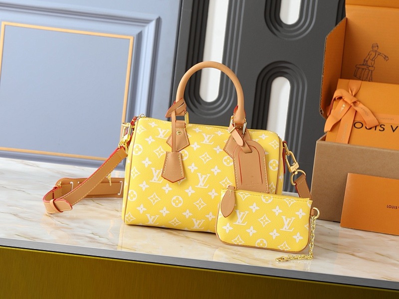 LOUIS VUITTON BAGS (133)