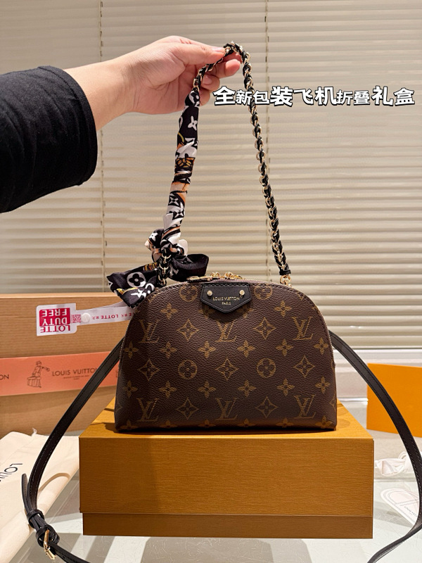 LOUIS VUITTON BAGS (348)