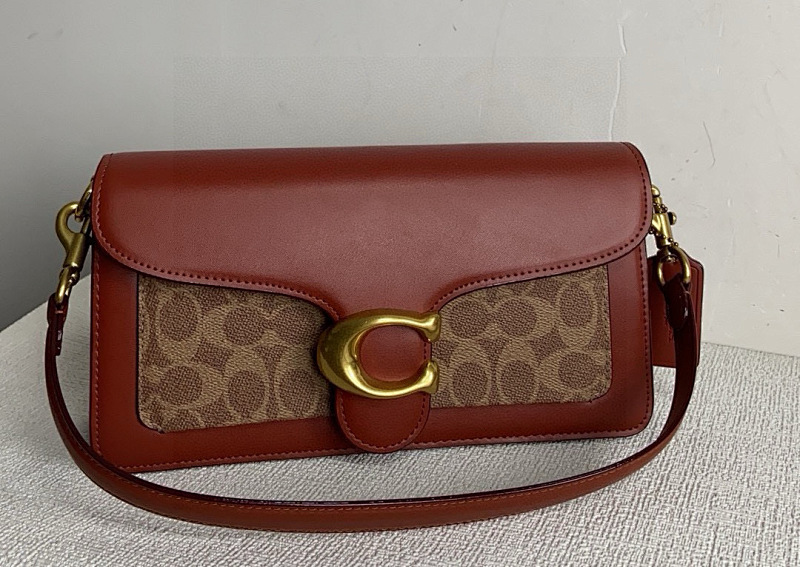 COACH BAGS (35)
