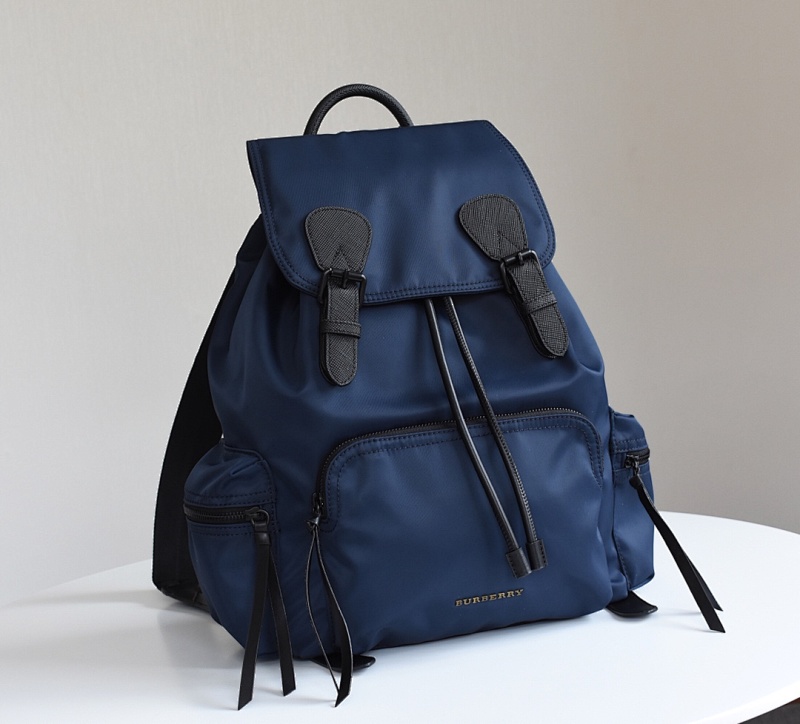 BURBERRY BAGS (77)