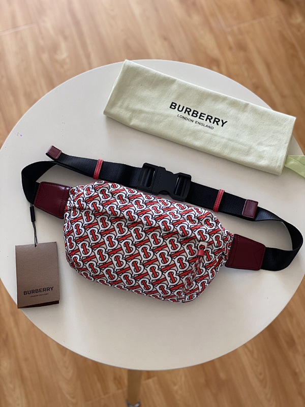 BURBERRY BAGS (37)