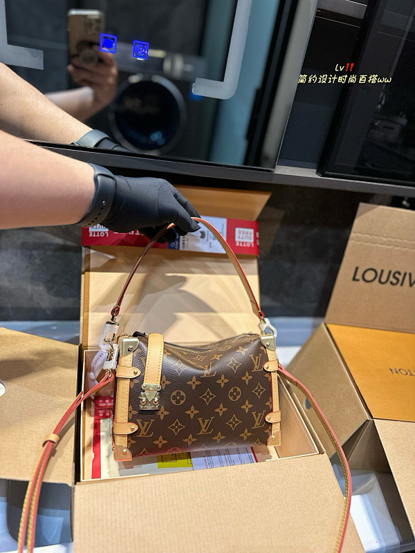 LOUIS VUITTON BAGS (472)