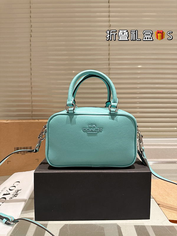 COACH BAGS (79)