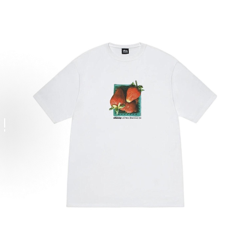 STUSSY (81)