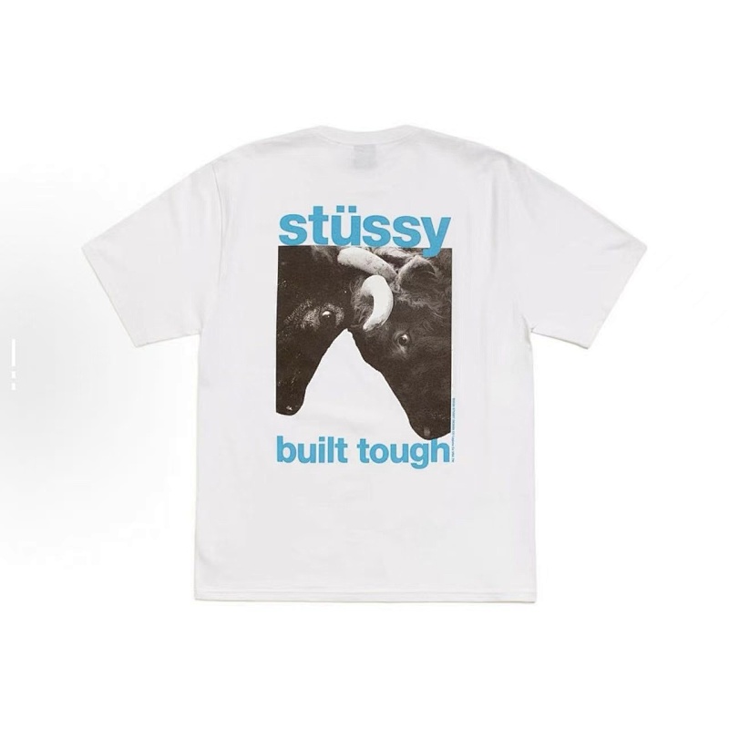 STUSSY TSHIRTS (2)