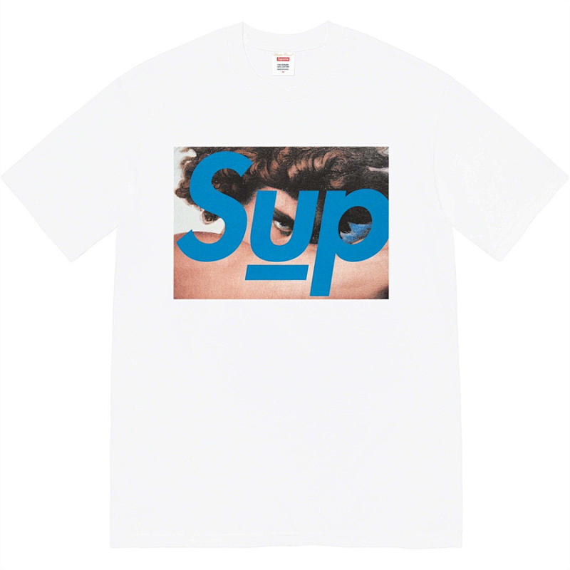 SUPREME (527)