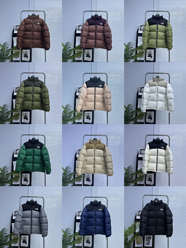 THE NORTH FACE (256)